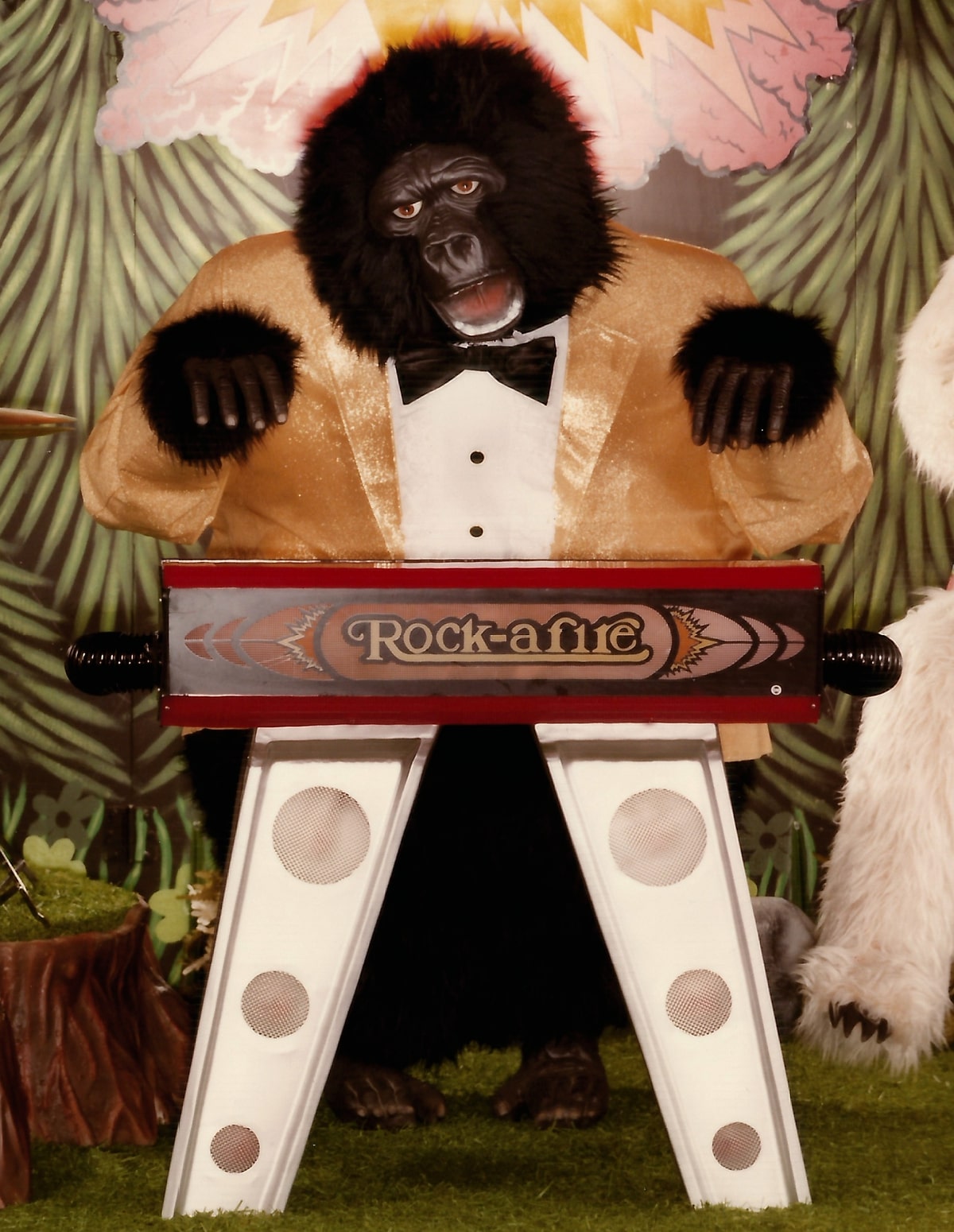 Rock-afire Gallery Image